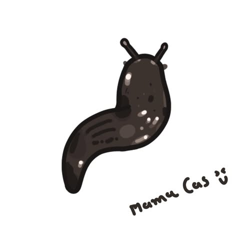 mama cas art
